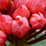 Träff hos Berith Nellert